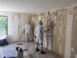 Best Real Estate Mold Inspection in Excelsior Springs, MO